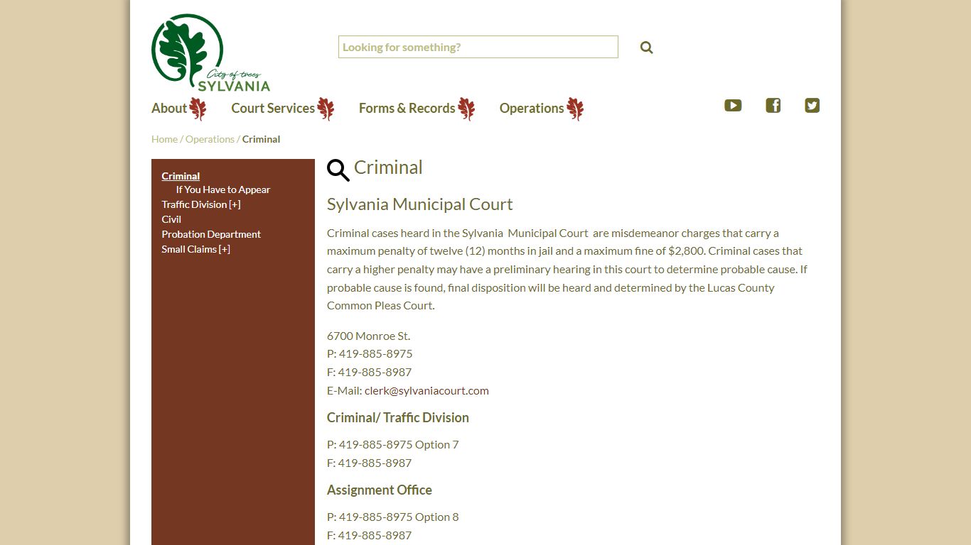 Criminal - Sylvania OH - Municipal Court
